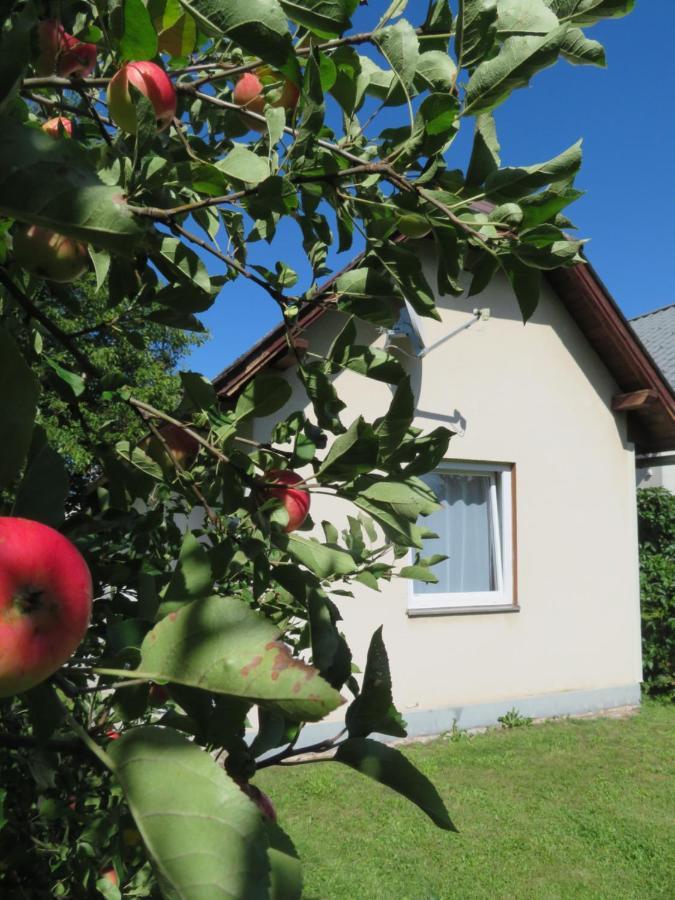 Haus Irmi Bed and Breakfast Knittelfeld Eksteriør billede